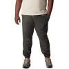 imageColumbia Mens Steens Mountain PantCharcoal Heather