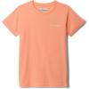Tiki Pink/Pfg Fish Flag