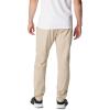 imageColumbia Mens Terminal Roamer Stretch PantAncient Fossil