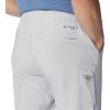 imageColumbia Mens Terminal Roamer Stretch PantCool Grey