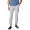imageColumbia Mens Terminal Roamer Stretch PantCool Grey