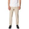 imageColumbia Mens Terminal Roamer Stretch PantAncient Fossil