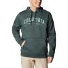 Spruce Heather/Csc Arched Brand Logo