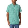 Bamboo Forest Multi Gingham