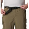 imageColumbia Mens Silver Ridge Utility Convertible Hiking PantStone Green