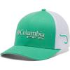 Electric Turquoise  Cool Grey  Hook