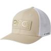 Fossil/Gold