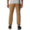 imageColumbia Mens Columbia Trek JoggerDelta HeatherVertical Logo