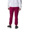 imageColumbia Mens Columbia Trek JoggerRed Onion