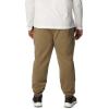 imageColumbia Mens Columbia Trek JoggerStone Green  Hip Csc Branded Logo