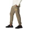 imageColumbia Mens Columbia Trek JoggerStone GreenMango Stacked Gem