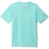 Gulf Stream/Pfg Y Diamond Bit Gem
