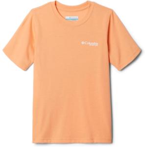 imageColumbia Boys PFG Short Sleeve Seasonal Graphic TeeBright NectarStack Em Inshore