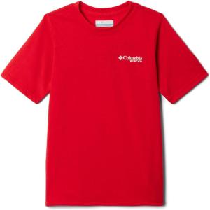 imageColumbia Boys PFG Short Sleeve Seasonal Graphic TeeRed SparkFlag Jumper Salt