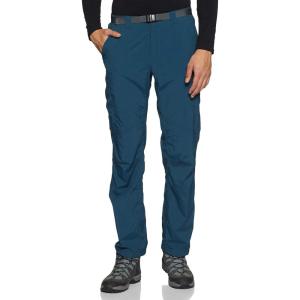 imageColumbia Mens Silver Ridge Cargo PantPetrol Blue