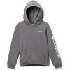 imageColumbia Kids Trek HoodieCity Grey Heather