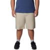 imageColumbia Mens Washed Out ShortFossil