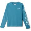 Canyon Blue/Icy Morn Logo