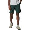 imageColumbia Mens Washed Out ShortSpruce