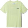 Spring Yellow/Tarpon Rise