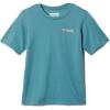 Tranquil Teal  Pfg Elements Graphic