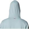 imageColumbia Mens PFG Fish Flag Ii HoodieCrushed BlueMint Cay Inshore Slam