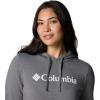 imageColumbia Womens Trek Graphic HoodieCity Grey HeatherGem Columbia