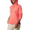 imageColumbia Womens Trek Graphic HoodieJuicyScripted Brand
