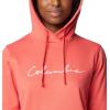 imageColumbia Womens Trek Graphic HoodieJuicyScripted Brand