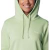 imageColumbia Womens Trek Graphic HoodieSage Leaf
