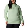 imageColumbia Womens Trek Graphic HoodieSage Leaf