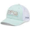 Icy Morn/White/Pfg Hooks
