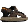 imageColumbia Mens Trailstorm Hiker 3 Strap Sport SandalCordovanGold Amber