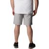 imageMens Flex ROC ShortColumbia Grey