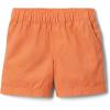 Desert Orange