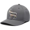 imageColumbia Lost Lager 110 Snap BackCity GreyScenic Moose