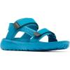 Blue Echo/Black