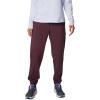imageColumbia Womens Trek SweatpantMoonvista