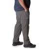 imageColumbia Sportswear Silver Ridge Cargo PantCity Grey