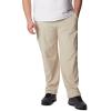 imageColumbia Sportswear Silver Ridge Cargo PantFossil