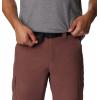 imageColumbia Sportswear Silver Ridge Cargo PantLight Raisin