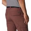 imageColumbia Sportswear Silver Ridge Cargo PantLight Raisin