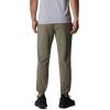 imageColumbia Mens Hike JoggerStone Green