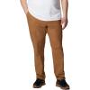 imageColumbia Mens Wallowa Belted PantDelta