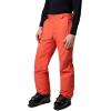 imageColumbia mens Bugaboo V PantZing