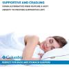 imageColumbia Ultimate Down Performance Pillow with OmniWick Moisture Wicking Technology  Sleep Cool Dry Comfortable  StandardQueen BackStomach Sleeper 1 PillowStandard Pack of 1