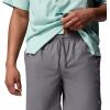 imageColumbia Mens PFG Rambler Water ShortCity Grey