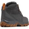 imageColumbia Mens Discontinued Newton Ridge Plus II Suede Waterproof Hiking BootDark GreyGold Amber