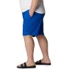 imageColumbia Mens Summertide Stretch Short Azul Large x 6