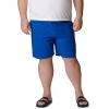 imageColumbia Mens Summertide Stretch Short Azul Large x 6
